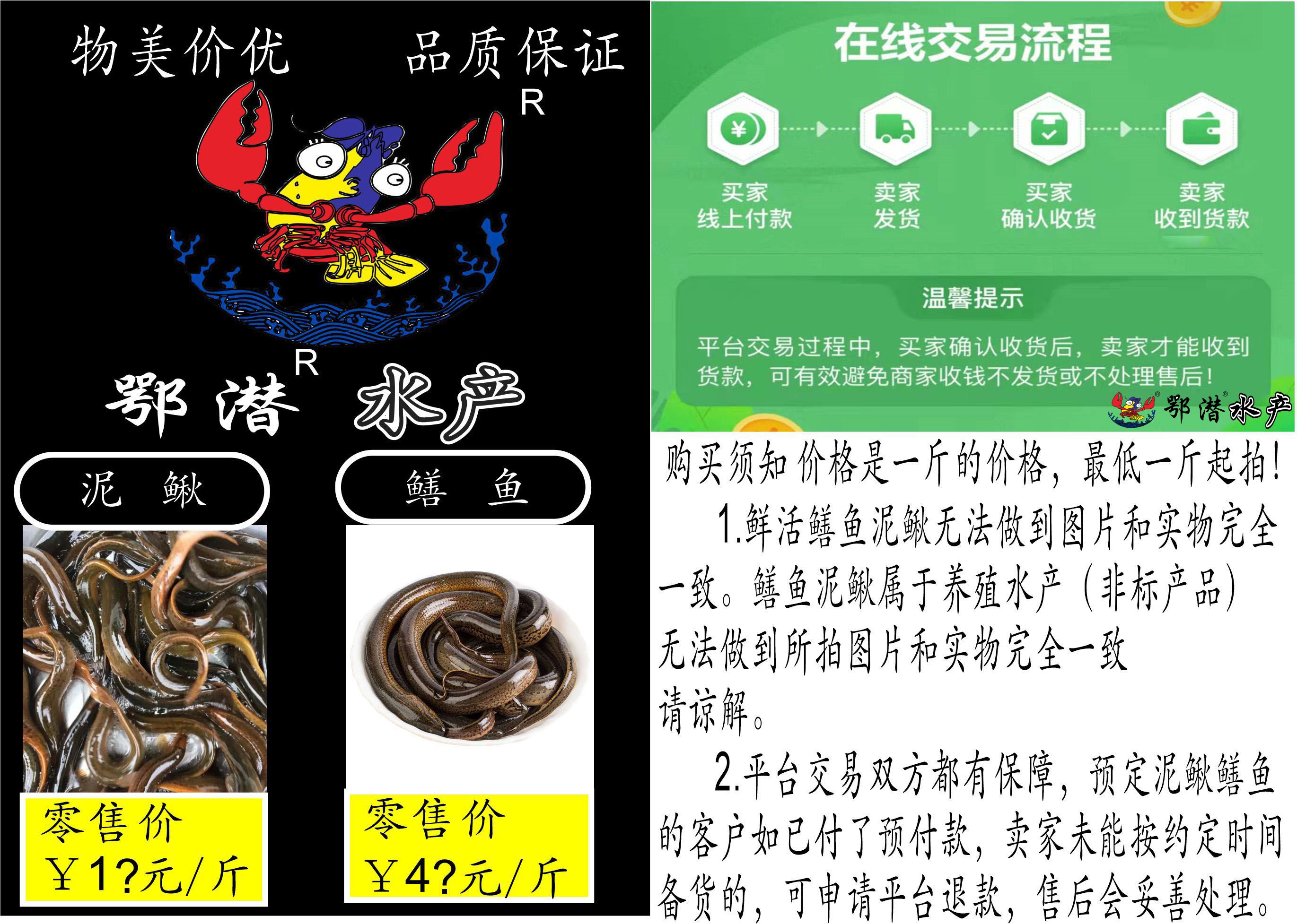 Backup_of_泥鳅鳝鱼1.jpg