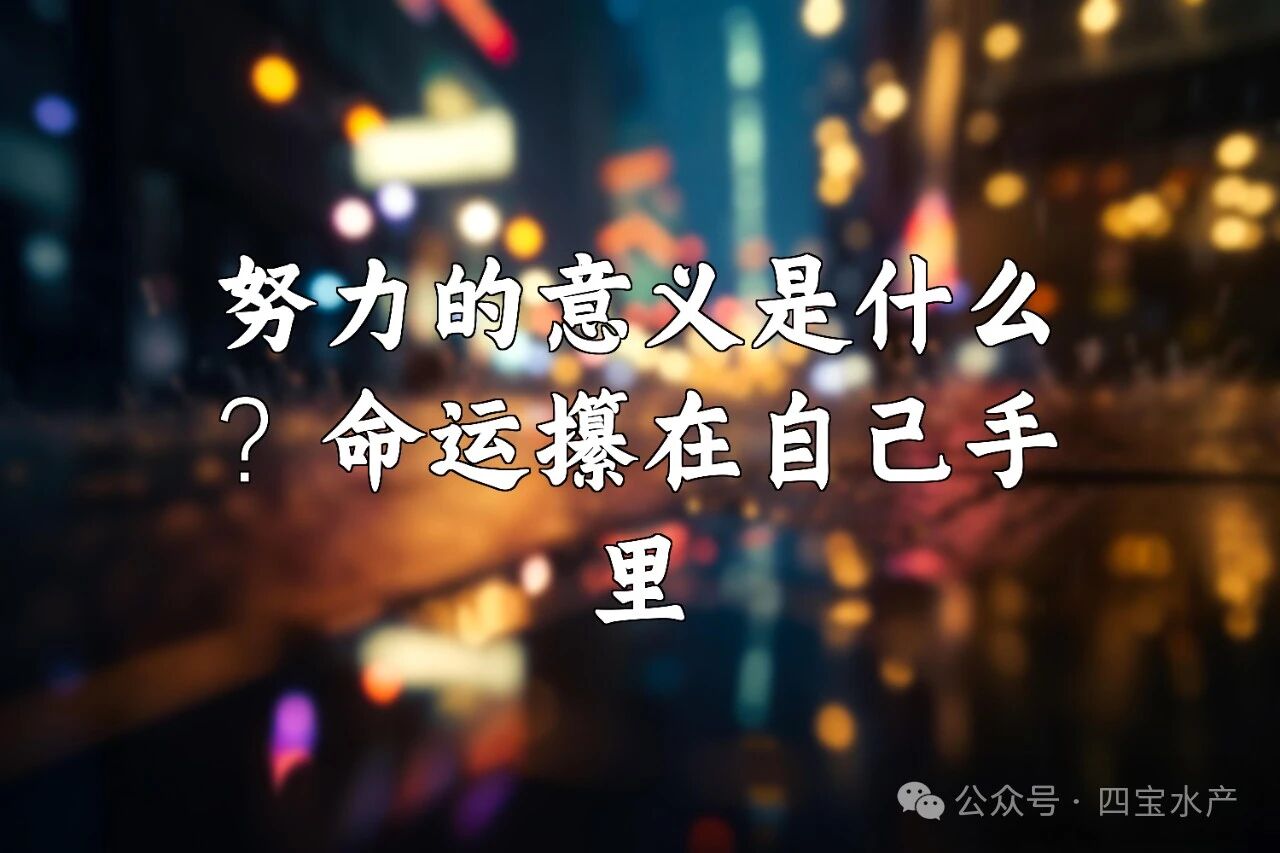 努力的意义(图1) 努力的意义(图1)