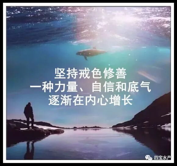 亲爱的儿子,色情会毁掉你的一生(图6) 亲爱的儿子,色情会毁掉你的一生(图6)