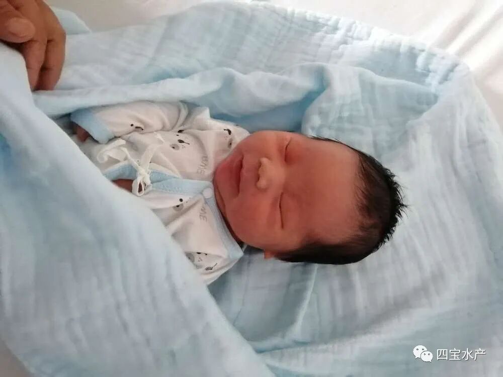 生了,母子平安,感谢大家的关心。(图2) 生了,母子平安,感谢大家的关心。(图2)