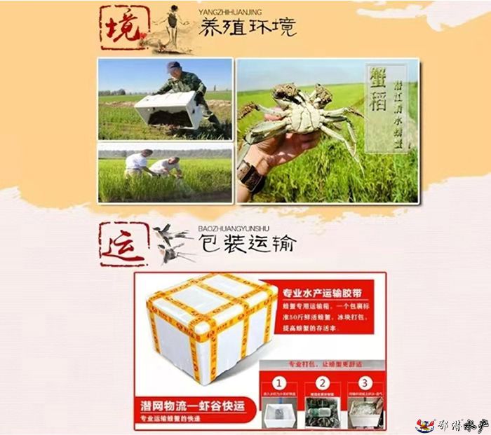 4公螃蟹(图4)