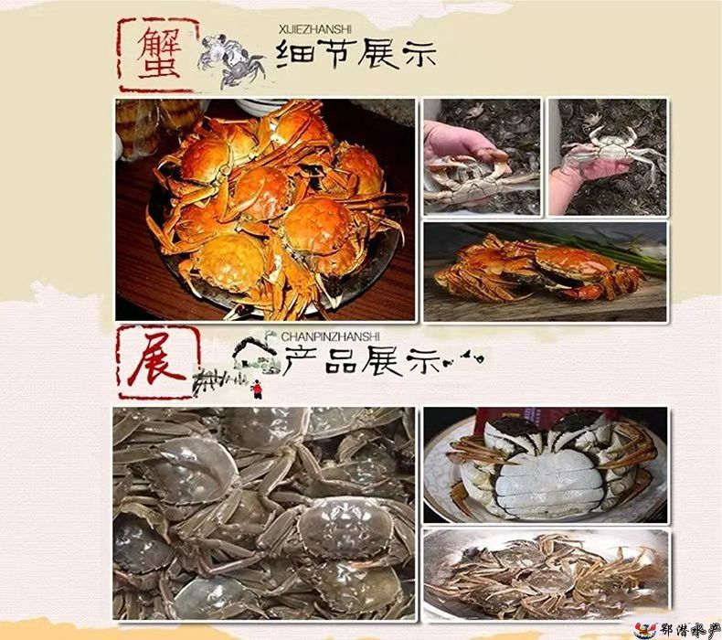 25公螃蟹(图3)