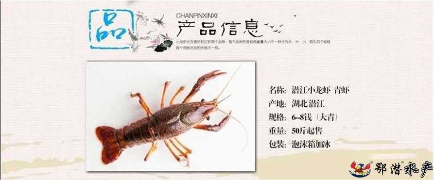 6-8大青(图1) 6-8大青(图1)