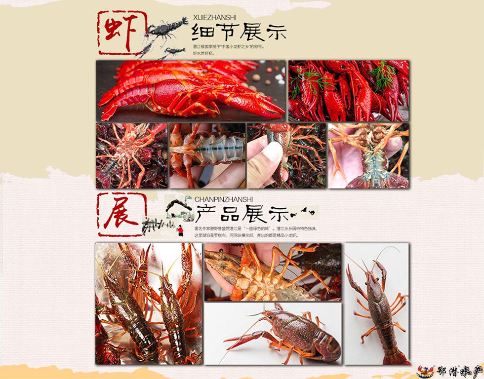 6-8大青(图4) 6-8大青(图4)