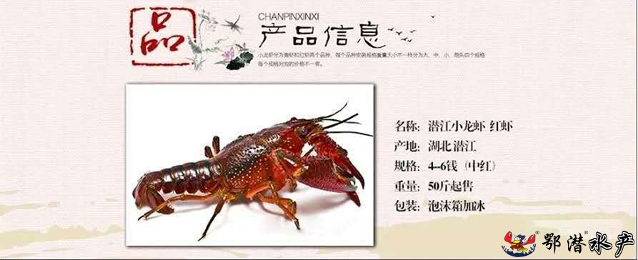 4-6中红(图1) 4-6中红(图1)