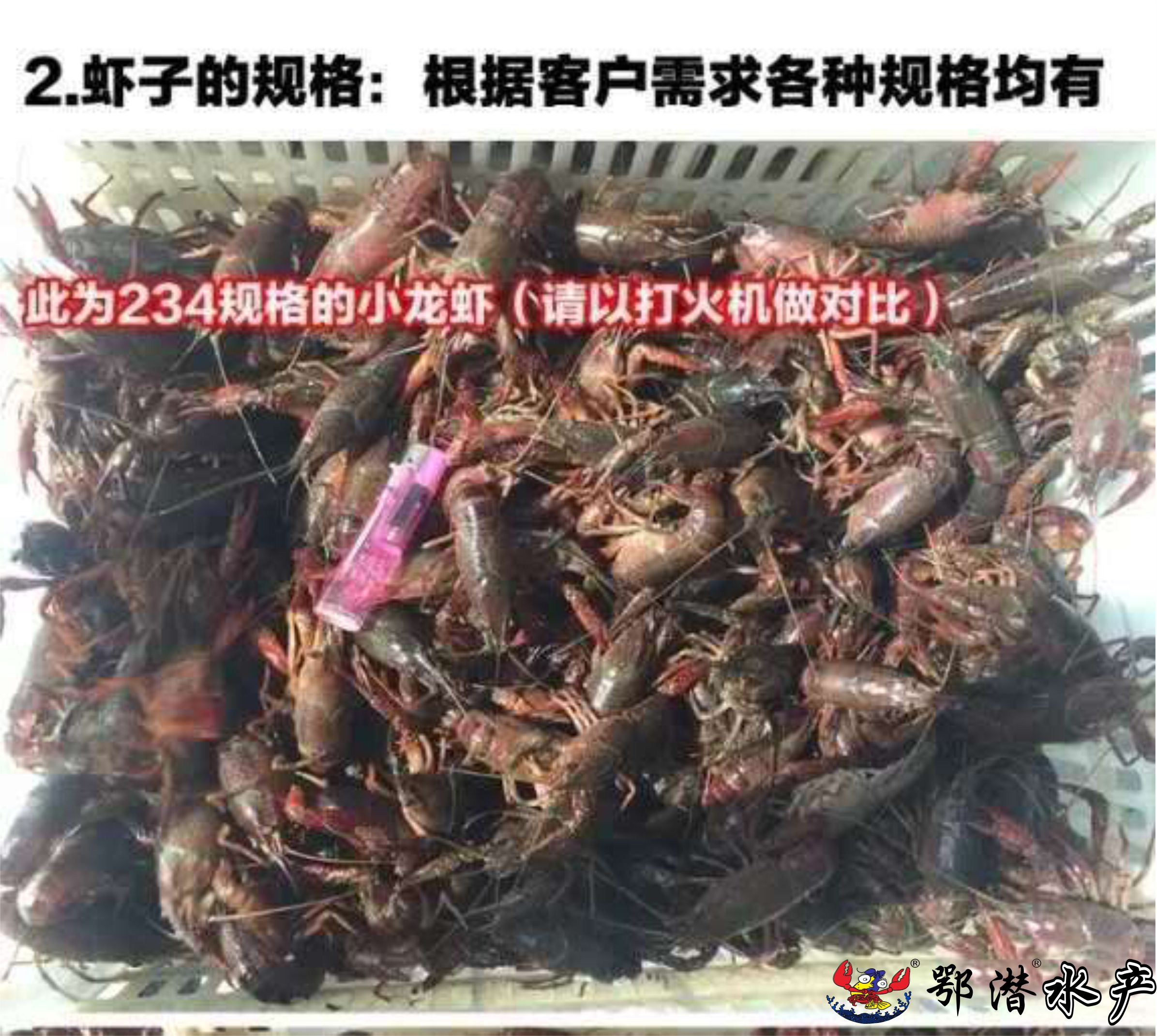 2-4小红(图2) 2-4小红(图2)