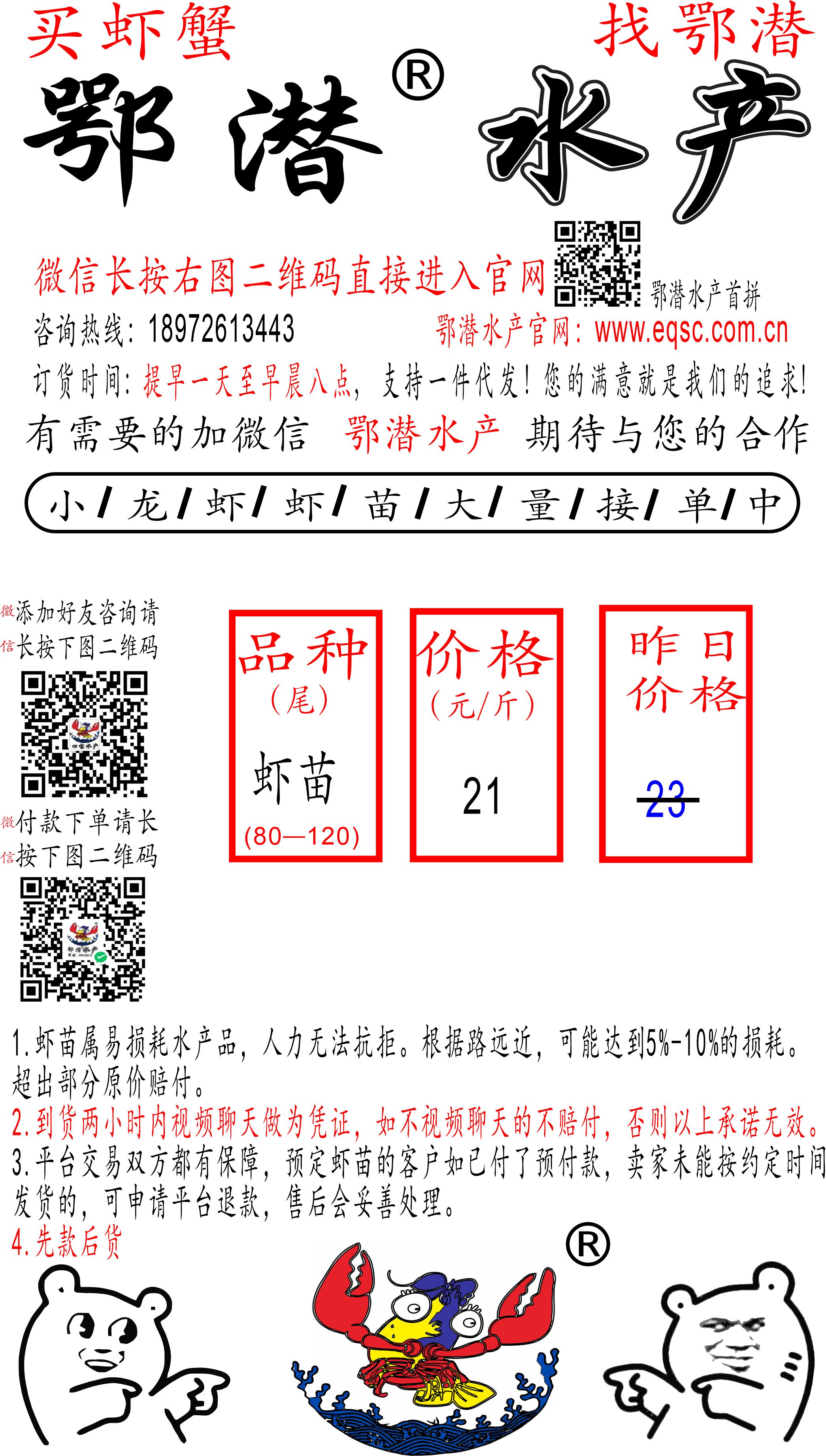 潜江小龙虾苗(图2) 潜江小龙虾苗(图2)