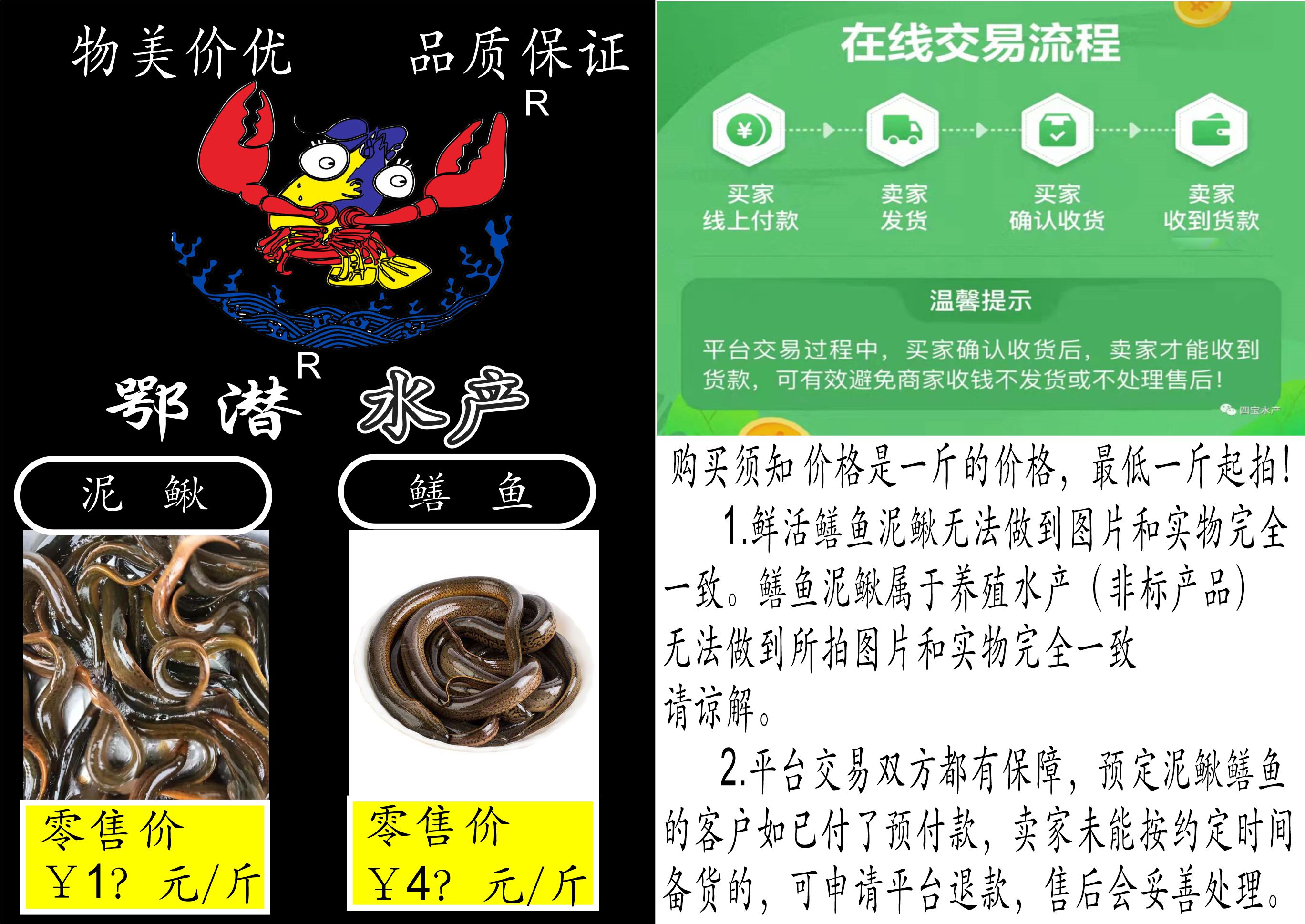 鳝鱼泥鳅(图1) 鳝鱼泥鳅(图1)