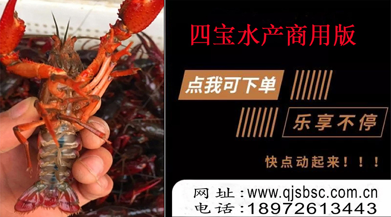 小龙虾从一钱大小长到七八钱需要多久?(图1) 小龙虾从一钱大小长到七八钱需要多久?(图1)