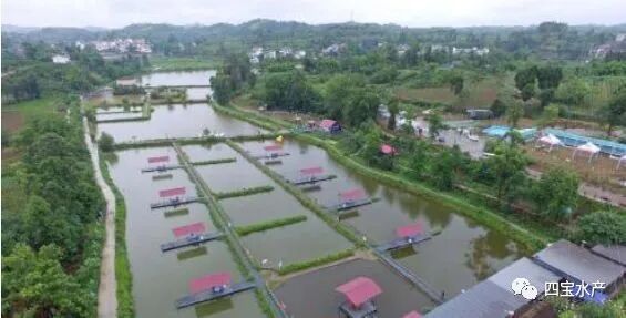 想要养殖龙虾,记住这些点你就能成功,同时也要避免误区(图2) 想要养殖龙虾,记住这些点你就能成功,同时也要避免误区(图2)